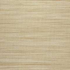 Homespun Beige