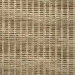 Stripe Beige